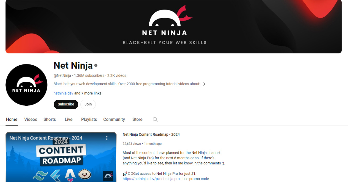 Net Ninja